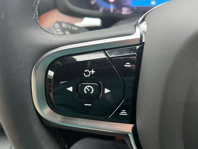 VOLVO V60 CROSS COUN 2024 Image 31