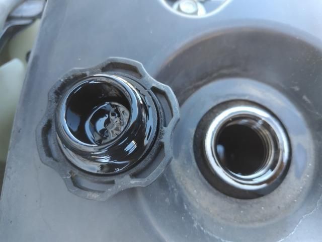 ISUZU ELF 2019 Image 31