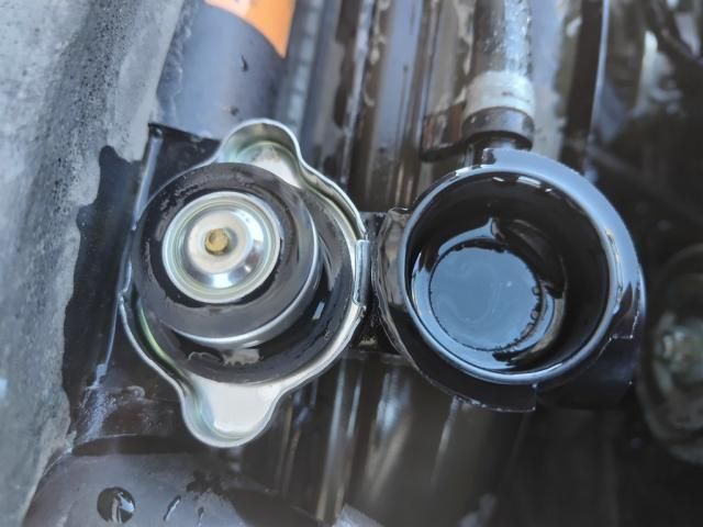 ISUZU ELF 2019 Image 31