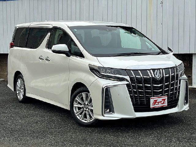 TOYOTA ALPHARD 2019 Image 31