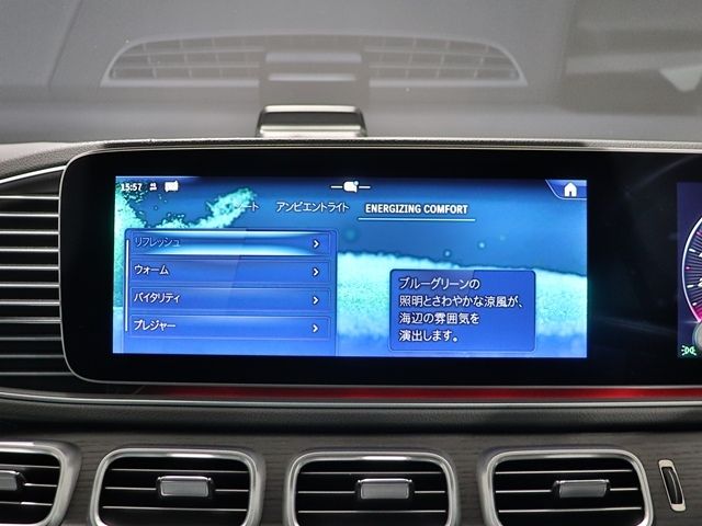 MERCEDES BENZ GLE CL 2024 Image 31