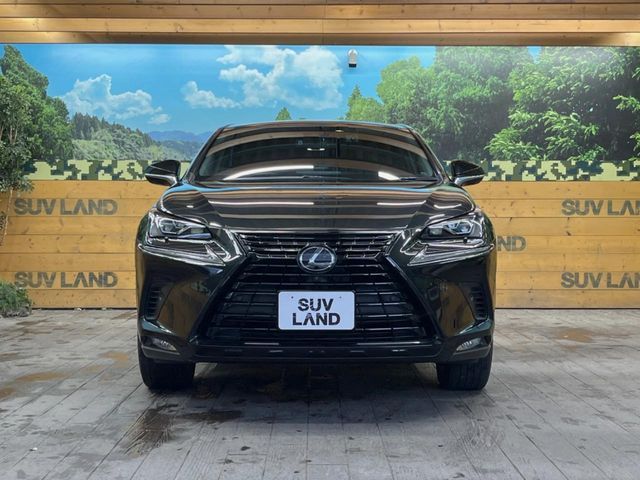 TOYOTA LEXUS NX300 2020 Image 31