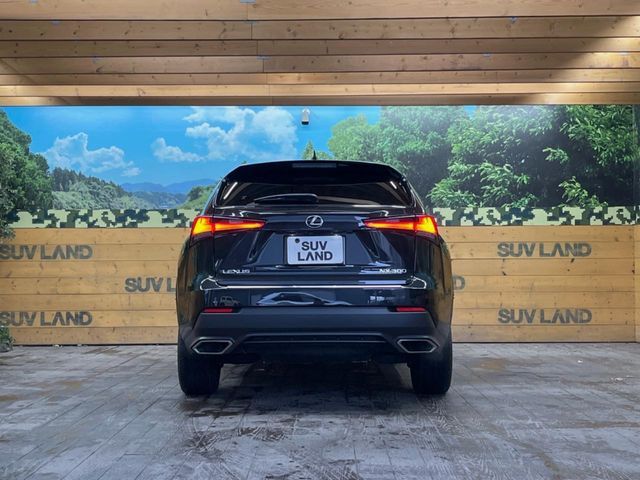 TOYOTA LEXUS NX300 2020 Image 31