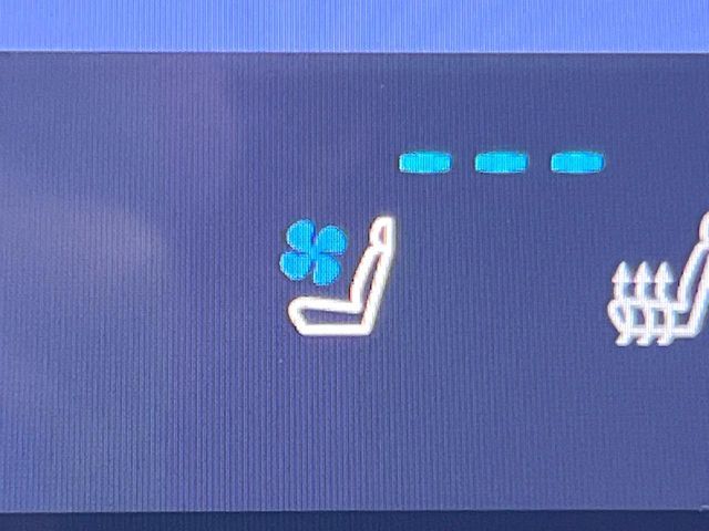 TOYOTA LEXUS NX350H 2023 Image 31