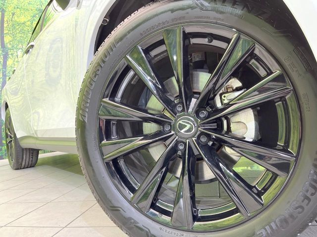 TOYOTA LEXUS NX350H 2023 Image 31