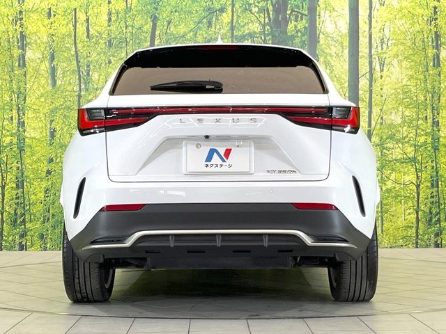 TOYOTA LEXUS NX350H 2023 Image 31