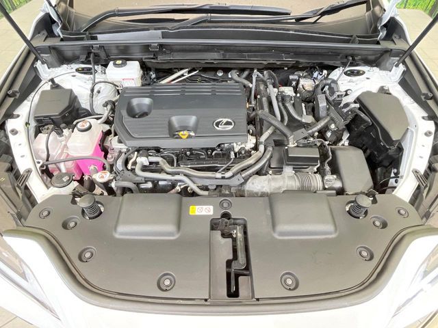 TOYOTA LEXUS NX350H 2023 Image 31