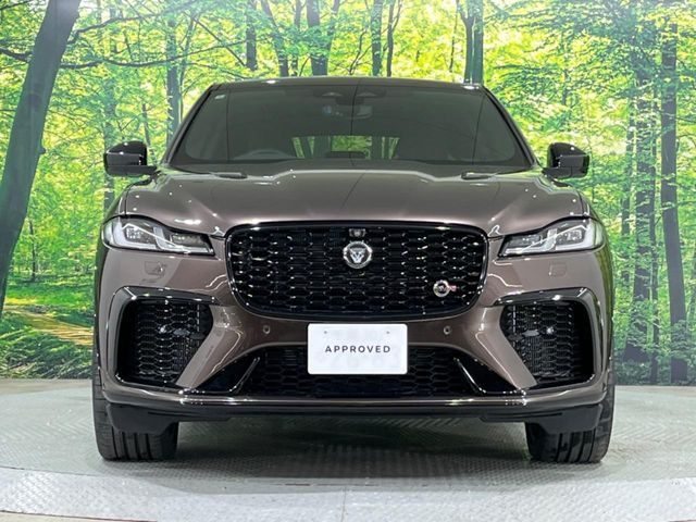 JAGUAR F-PACE 2024 Image 31