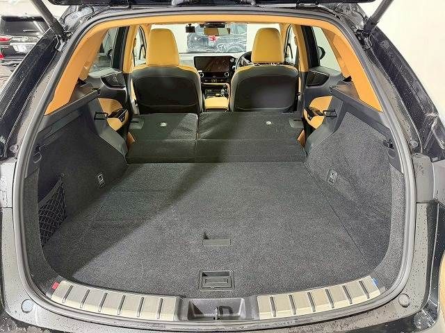 TOYOTA LEXUS NX350H 2022 Image 31