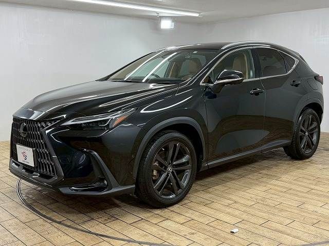 TOYOTA LEXUS NX350H 2022 Image 31
