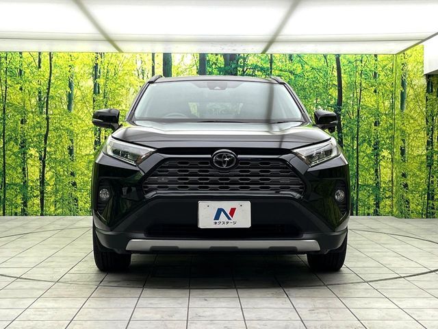 TOYOTA RAV4 4WD 2019 Image 31