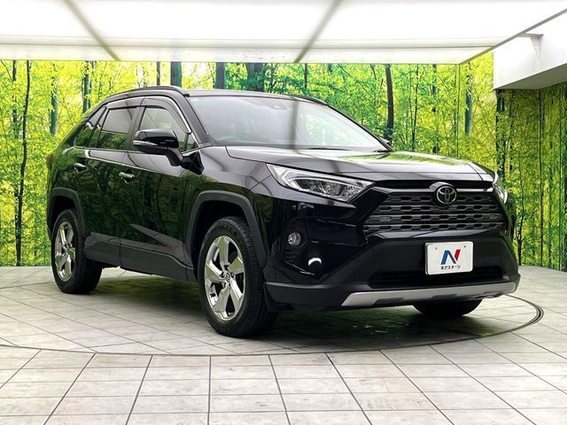 TOYOTA RAV4 4WD 2019 Image 31
