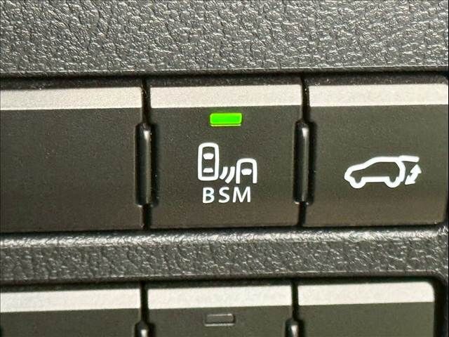 TOYOTA LEXUS NX300H 2019 Image 31