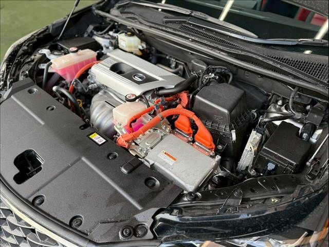 TOYOTA LEXUS NX300H 2019 Image 31