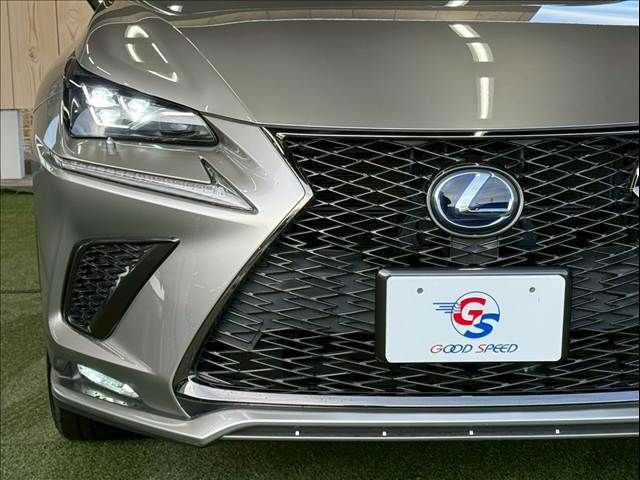 TOYOTA LEXUS NX300H 2019 Image 31