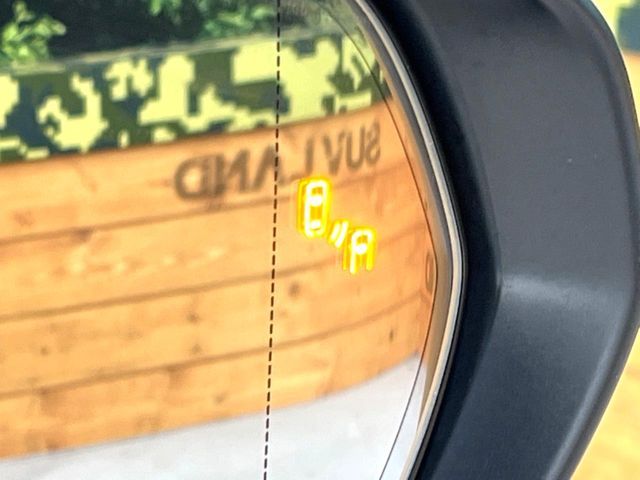 TOYOTA LEXUS RX450H AWD 2019 Image 31