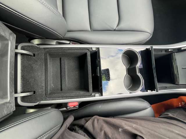 TESLA MODEL 3 2020 Image 31