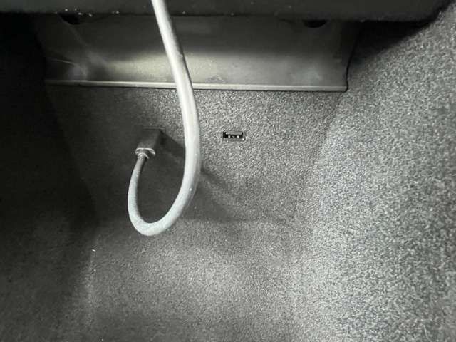 TESLA MODEL 3 2020 Image 31