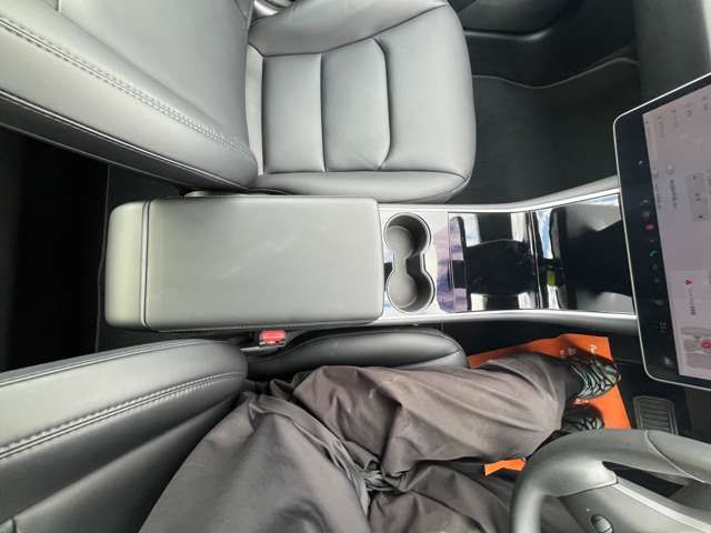 TESLA MODEL 3 2020 Image 31