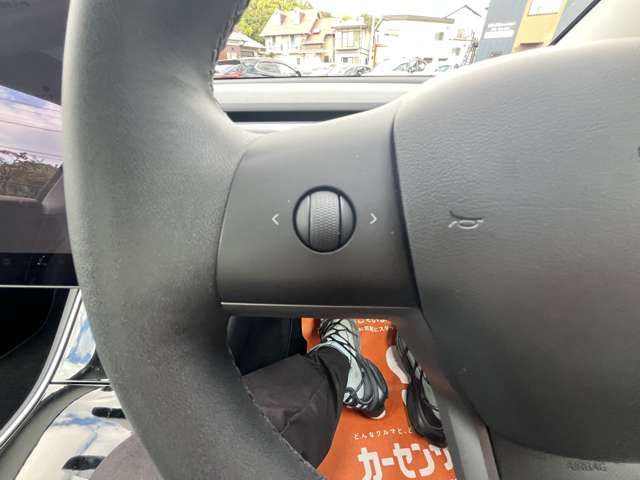 TESLA MODEL 3 2020 Image 31