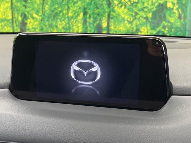 MAZDA CX-8 2018 Image 31