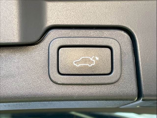 ROVER RANGE  EV 2018 Image 31