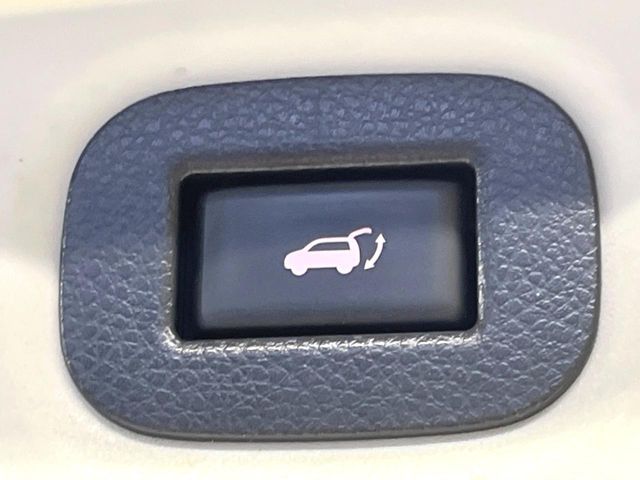 NISSAN X-TRAIL HYBRID 4WD 2017 Image 31