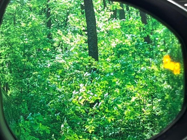 TOYOTA PRIUS 2023 Image 31