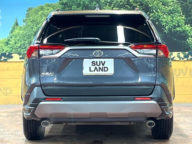 TOYOTA RAV4 4WD 2019 Image 31