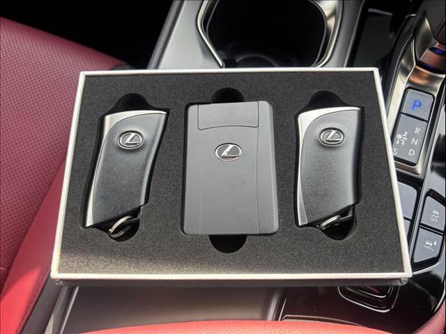 TOYOTA LEXUS NX450H+ AWD 2021 Image 31