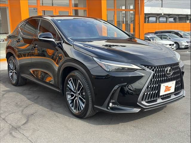 TOYOTA LEXUS NX450H+ AWD 2021 Image 31