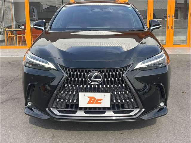 TOYOTA LEXUS NX450H+ AWD 2021 Image 31