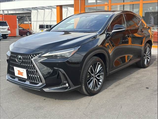 TOYOTA LEXUS NX450H+ AWD 2021 Image 31