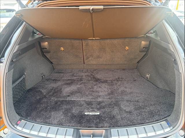 TOYOTA LEXUS NX450H+ AWD 2021 Image 31