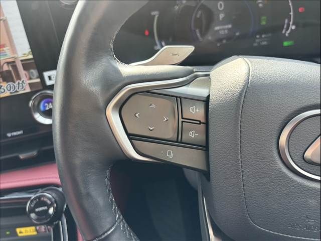 TOYOTA LEXUS NX450H+ AWD 2021 Image 31