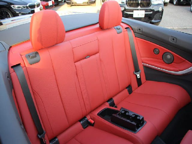 BMW 4SERIES OPEN 2019 Image 31