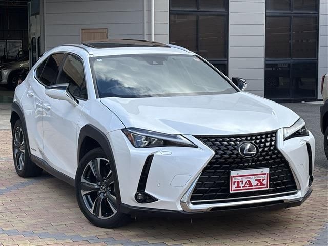TOYOTA LEXUS UX250H 2019 Image 31