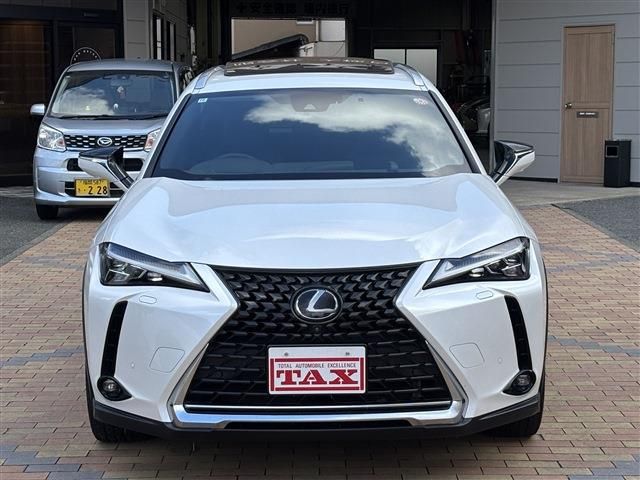 TOYOTA LEXUS UX250H 2019 Image 31