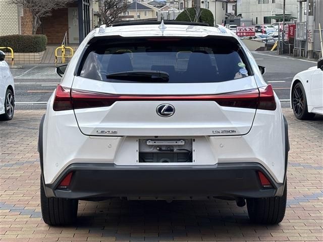 TOYOTA LEXUS UX250H 2019 Image 31