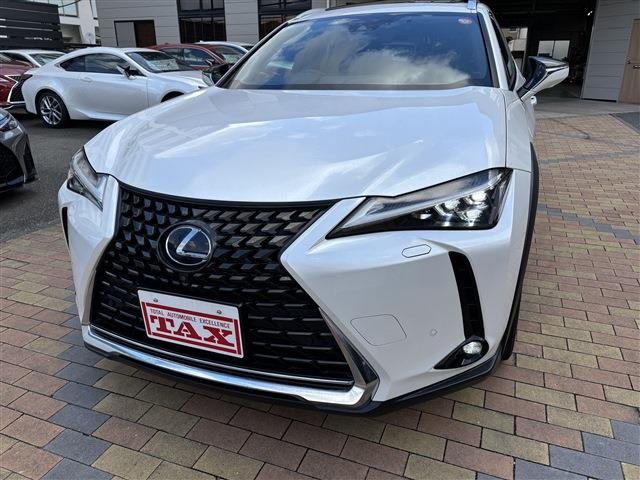 TOYOTA LEXUS UX250H 2019 Image 31