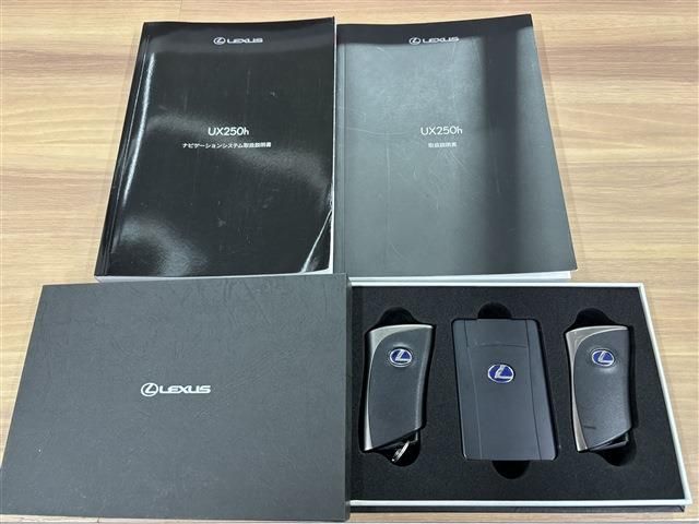TOYOTA LEXUS UX250H 2019 Image 31