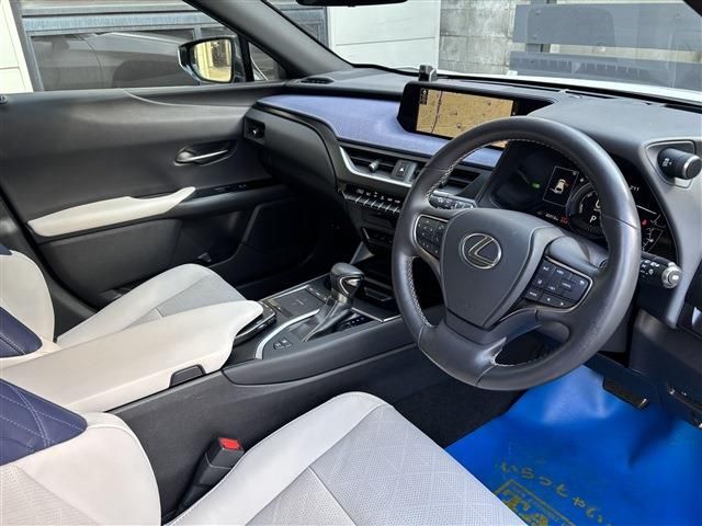 TOYOTA LEXUS UX250H 2019 Image 31