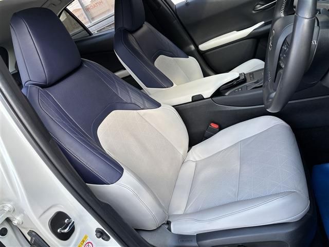 TOYOTA LEXUS UX250H 2019 Image 31