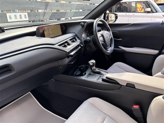 TOYOTA LEXUS UX250H 2019 Image 31