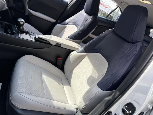 TOYOTA LEXUS UX250H 2019 Image 31