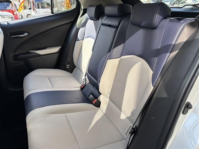 TOYOTA LEXUS UX250H 2019 Image 31