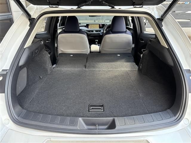 TOYOTA LEXUS UX250H 2019 Image 31