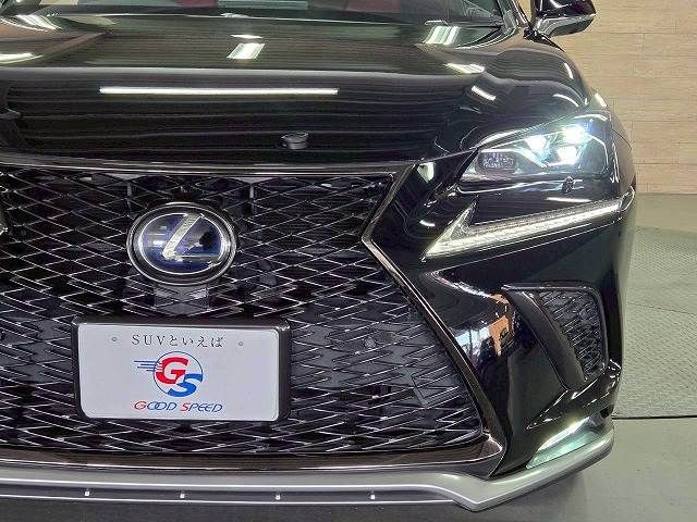 TOYOTA LEXUS NX300H 2017 Image 31