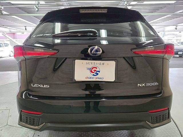 TOYOTA LEXUS NX300H 2017 Image 31