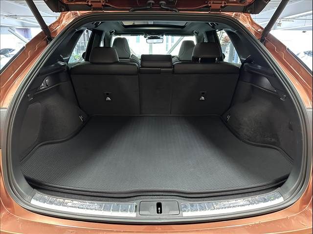 TOYOTA LEXUS RX500H 2023 Image 31